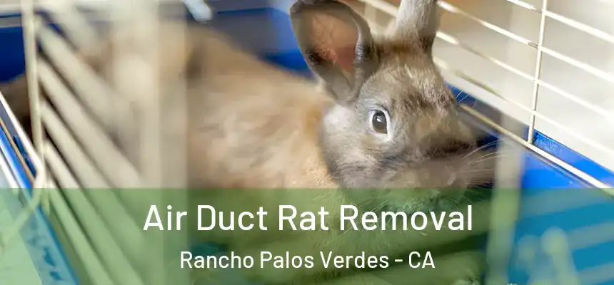 Air Duct Rat Removal Rancho Palos Verdes - CA