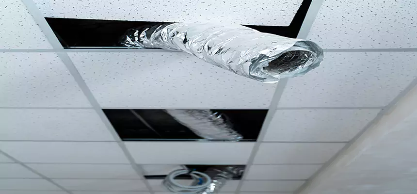 Affordable HVAC Sanitizing After Pest Removal in Rancho Palos Verdes