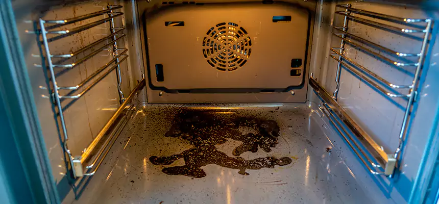 Our Dryer Vent Mold Cleaning Services in Rancho Palos Verdes, CA