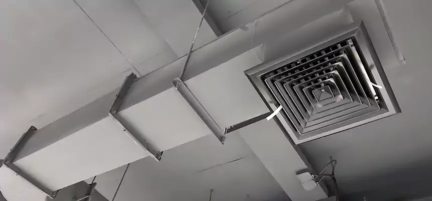 Our Pest Removal From Ducts Services in Rancho Palos Verdes, CA