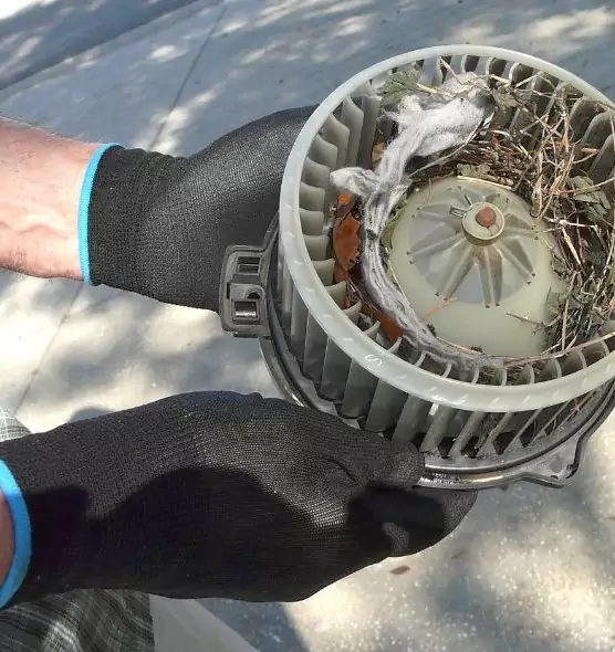 About Air Duct Rat Removal in Rancho Palos Verdes, CA