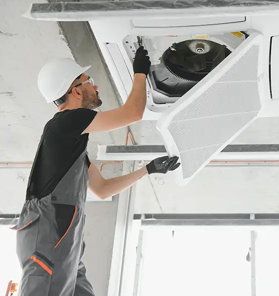 About Air Duct Rodent Removal in Rancho Palos Verdes, CA