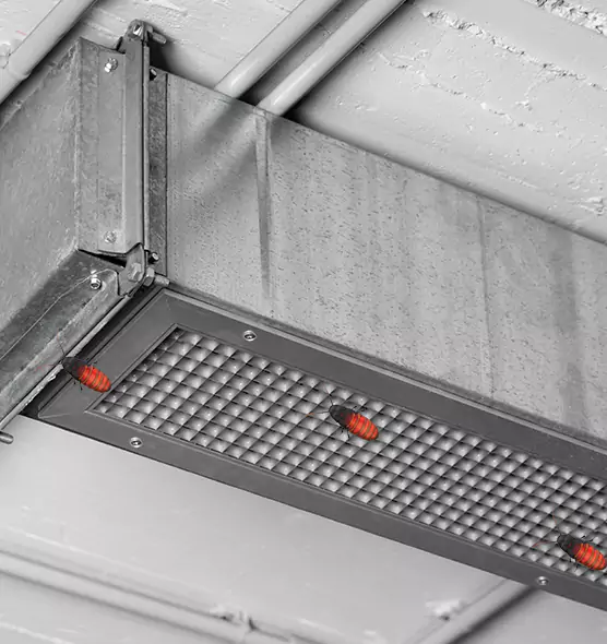 Affordable Insect Removal from Air Ducts in Rancho Palos Verdes, CA