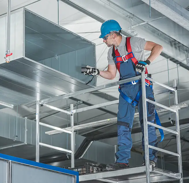 Why Homeowners & Businesses Trust Us in Rancho Palos Verdes, CA?