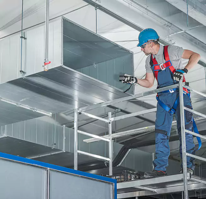 Why Homeowners & Businesses Trust Us in Rancho Palos Verdes, CA?