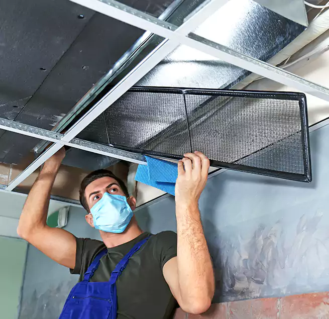 Why Homeowners Businesses Trust Us in Rancho Palos Verdes, CA