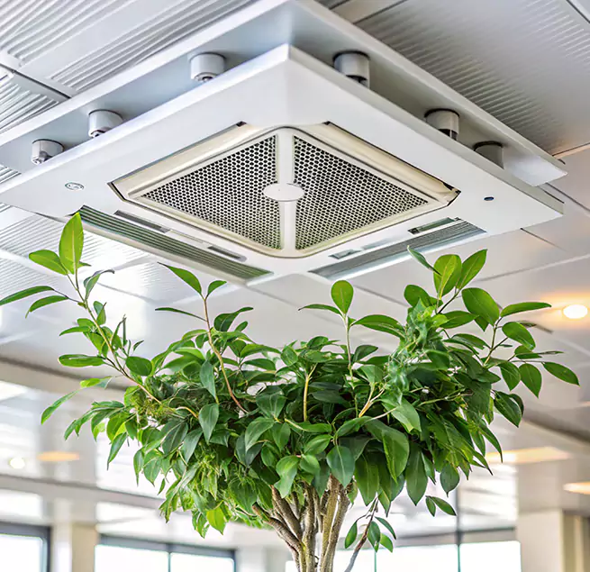 Why Homeowners & Businesses Trust Us in Rancho Palos Verdes, CA?