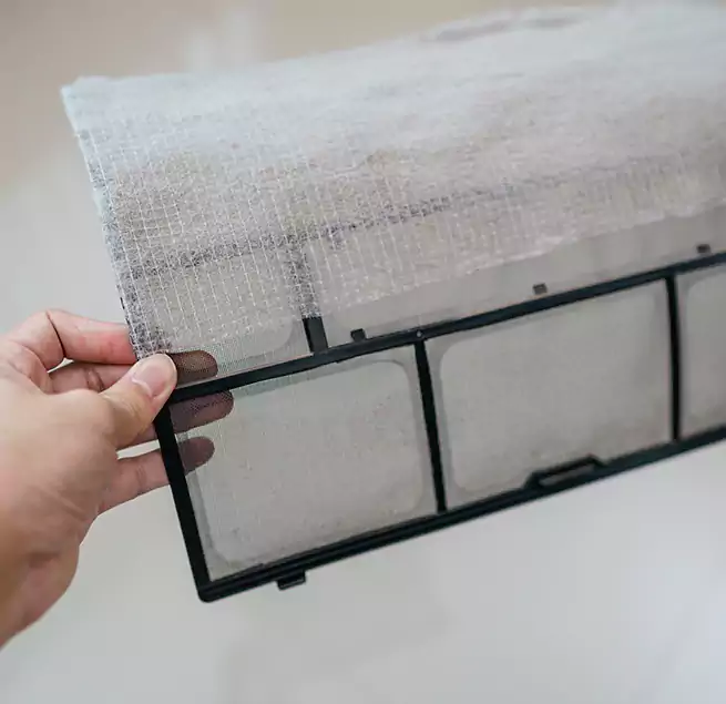 Why Homeowners & Businesses Trust Us in Rancho Palos Verdes, CA?