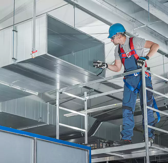 Why Homeowners Businesses Trust Us in Rancho Palos Verdes, CA