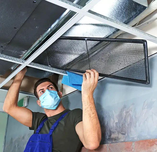 Why Homeowners & Businesses Trust Us in Rancho Palos Verdes, CA?