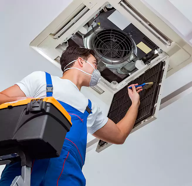 Why Homeowners & Businesses Trust Us in Rancho Palos Verdes, CA?